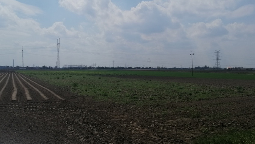 Działka Sprzedaż Topolin Bolesława Chrobrego